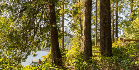 Fototapety na wymiar - Fototapeta24.pl