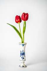 red tulips in a vase isolated on white background