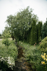  A small river near the house. Spring day in the countryside