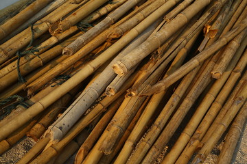 bamboo background