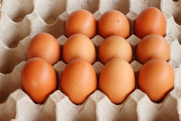 Egg, Chicken Egg in cardboard box on background.