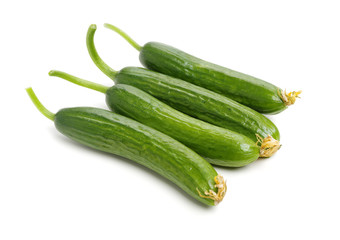 Lebanese Cucumber isolated on white background