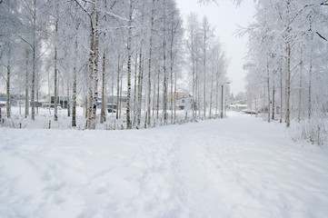winter in the park