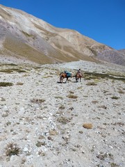 Cabalgata Cordillera de los Andes