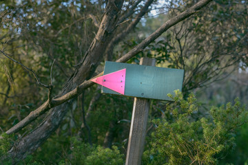 Sign indicating the route, danger, emergency, blank space for customising text or pictures