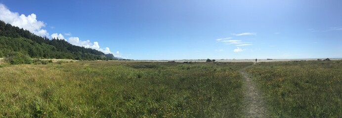 landscape with green field and blue sky