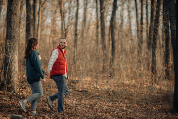 Naklejka na ściany i meble couple walks among the autumn forest in Codri Moldova
