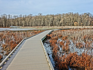A wooden boardwalk winds through a quiet Virginia marshland.