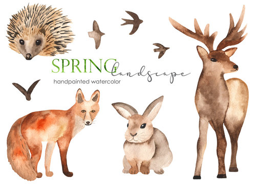 Watercolor set with forest animals. Fox, hedgehog, deer, hare.