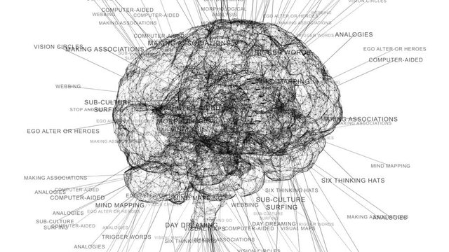 Creative Thinking And Critical Thinking Ideas Brain Concept Animation