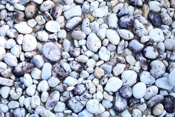 stone background. pebbles on the beach