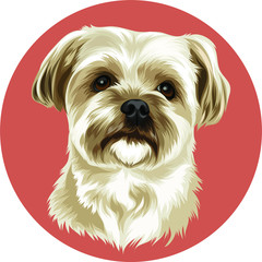 white dog with long fur vector cartoon perfect for pet lover or pet business