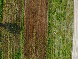 zielone pola z lotu ptaka, polska wieś  © Marcin