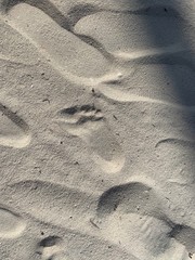 Fototapeta na wymiar little footprint