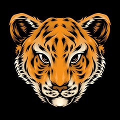 cute baby tiger head vector