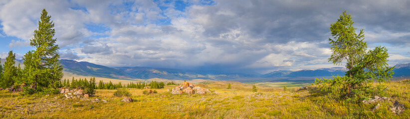 Fototapeta na wymiar Mountain steppe, tree. Cloudy weather. Summer travel. Panoramic view.
