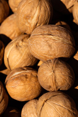 Inshell walnuts. Lots of walnuts in bright sunlight