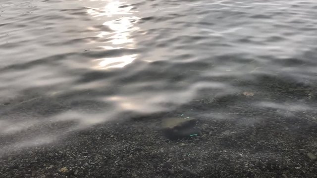 Lake on a eary grey day in the fog
