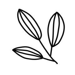 Twig. Blade of grass. Vector illustration on a white background.