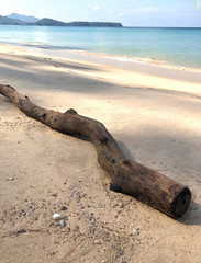 Fototapeta na wymiar beach on the island of Phuket in Thailand