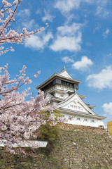 小倉城天守閣と桜