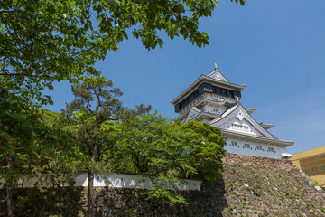 新緑の小倉城