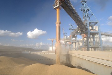 Port de Rouensilo Senalia, chargement blé sur cargo Panamax. Portique de chargement