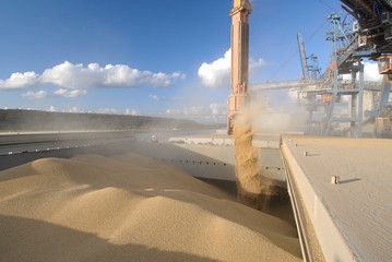 Port de Rouensilo Senalia, chargement blé sur cargo Panamax. Portique de chargement
