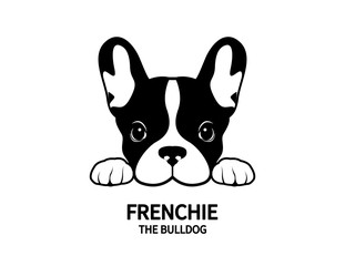 Adorable French Bulldog waiting for his snacks. Cute Frenchie with bunny ears in black & white logo.