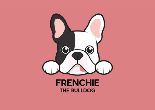 A cute little frenchie is stick to the edge of the table and waiting for some foods. The brindle pied French Bulldog Logo. This is Frenchie Series in portrait photo style.