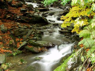Fototapeta na wymiar A river stream of water jumps over rocks. Moody autumn photo.