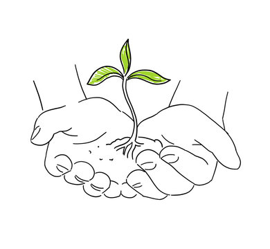Hands with young plant shoots. Save nature. Sketch hand drawn. Growing Agriculture sprout in hand. Growth of plants. Spring soil. Vector.