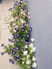 bouquet of flowers on wooden background