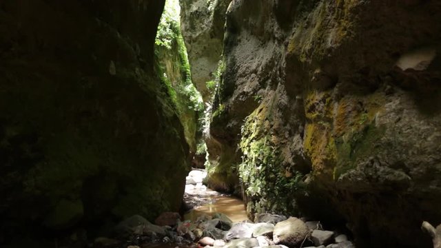 Natural habitat of the mexican Ferocious water big