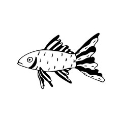 Hand drawn fish isolated on a white background. Doodle, simple outline illustration. It can be used for decoration of textile, paper.