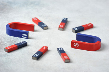 different magnets - the concept of the choice problem