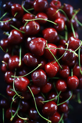 plate with cherry background / beautiful bright background fresh cherry cherries, juicy fruit