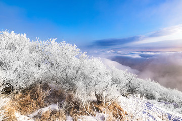 눈으로 덮힌 덕유산의 겨울풍경
