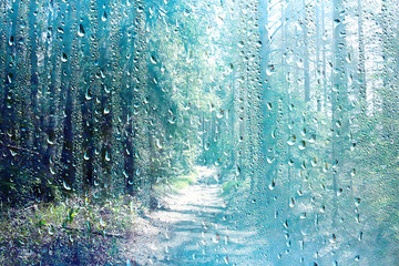 Naklejka na ściany i meble summer rain wet glass / abstract background landscape on a rainy day outside the window blurred background