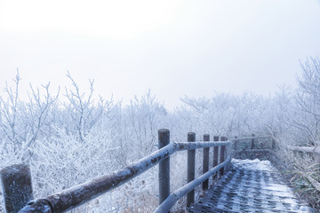 눈으로 덮힌 덕유산의 겨울풍경