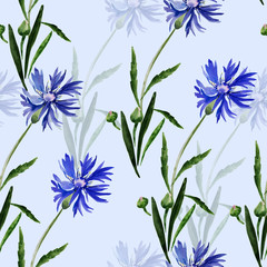 Fototapeta na wymiar Watercolor illustration of a bouquet of wildflowers, cornflowers on a colored background