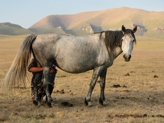 Kyrgyzstan, mountains scenery Song Kol lake