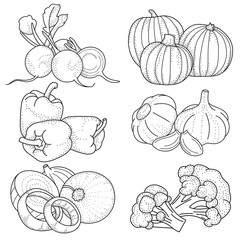 Set of hand drawing vegetables; doodle vegetables for stickers, posters, web design. Black and white vector illustration.
