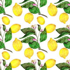 Hand-drawn watercolor lemon tree branch and lemon fruit seamless pattern on white background. Yellow fruits, leaves and flowers of citrus tree endless print for your design. Cute colorful wallpaper.