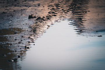 Deep tracks from the wheels of large truck leaving puddle on the sand in forest area.