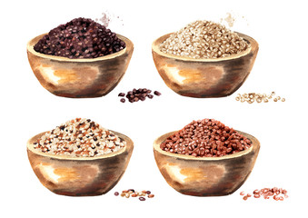 Quinoa seeds in the bowl set. Hand drawn watercolor illustration, isolated on white background