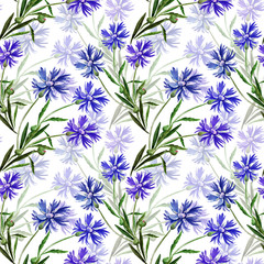 Watercolor illustration of a bouquet of wildflowers, cornflowers on a colored background