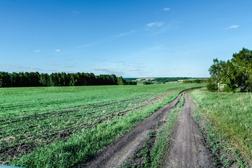 Fototapeta na wymiar Agricultural land and landscape