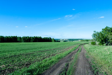 Agricultural land and landscape