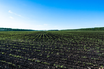 Agricultural land and landscape